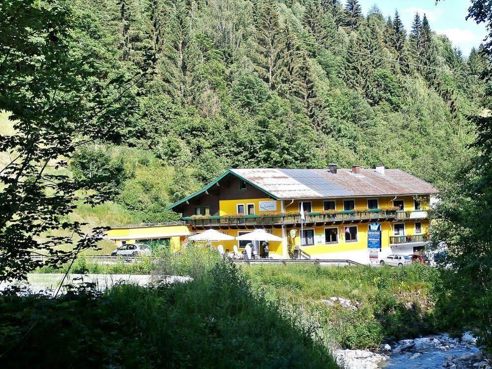 Hotel-Restaurant Bike&Snow Lederer Mühlbach am Hochkönig Eksteriør bilde